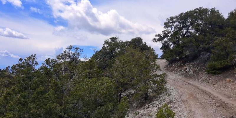 Jeep Mountain Trail Mt Blanca CO